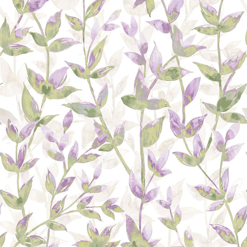 JRD50131W Pomponette Heather Asparagus Wallpaper by Ohpopsi
