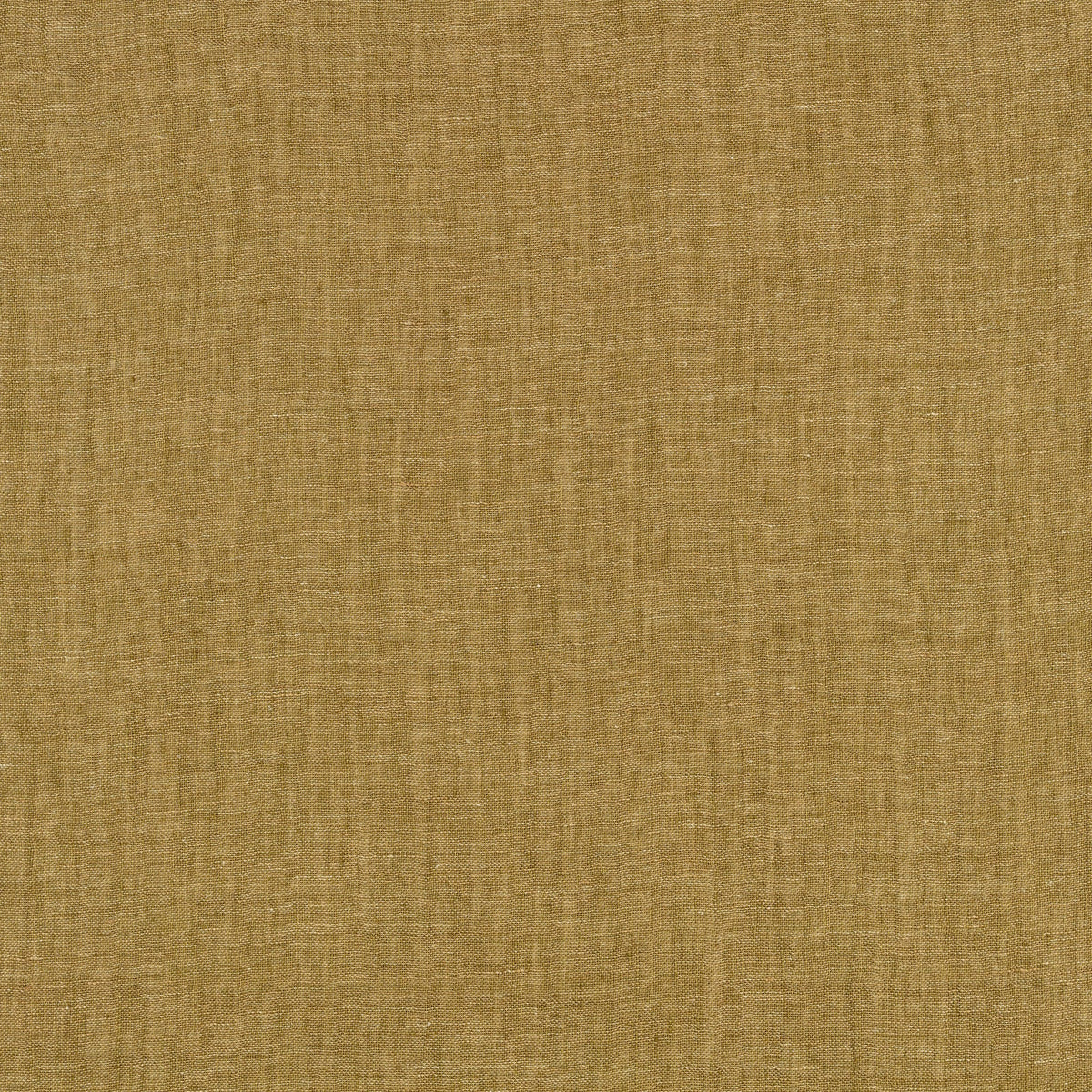 Warp Fern Fabric by Kirkby Design — flat