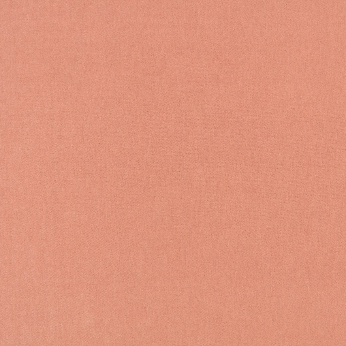 Fuzzy FR Crib 5 Blossom Fabric by Kirkby Design — flat