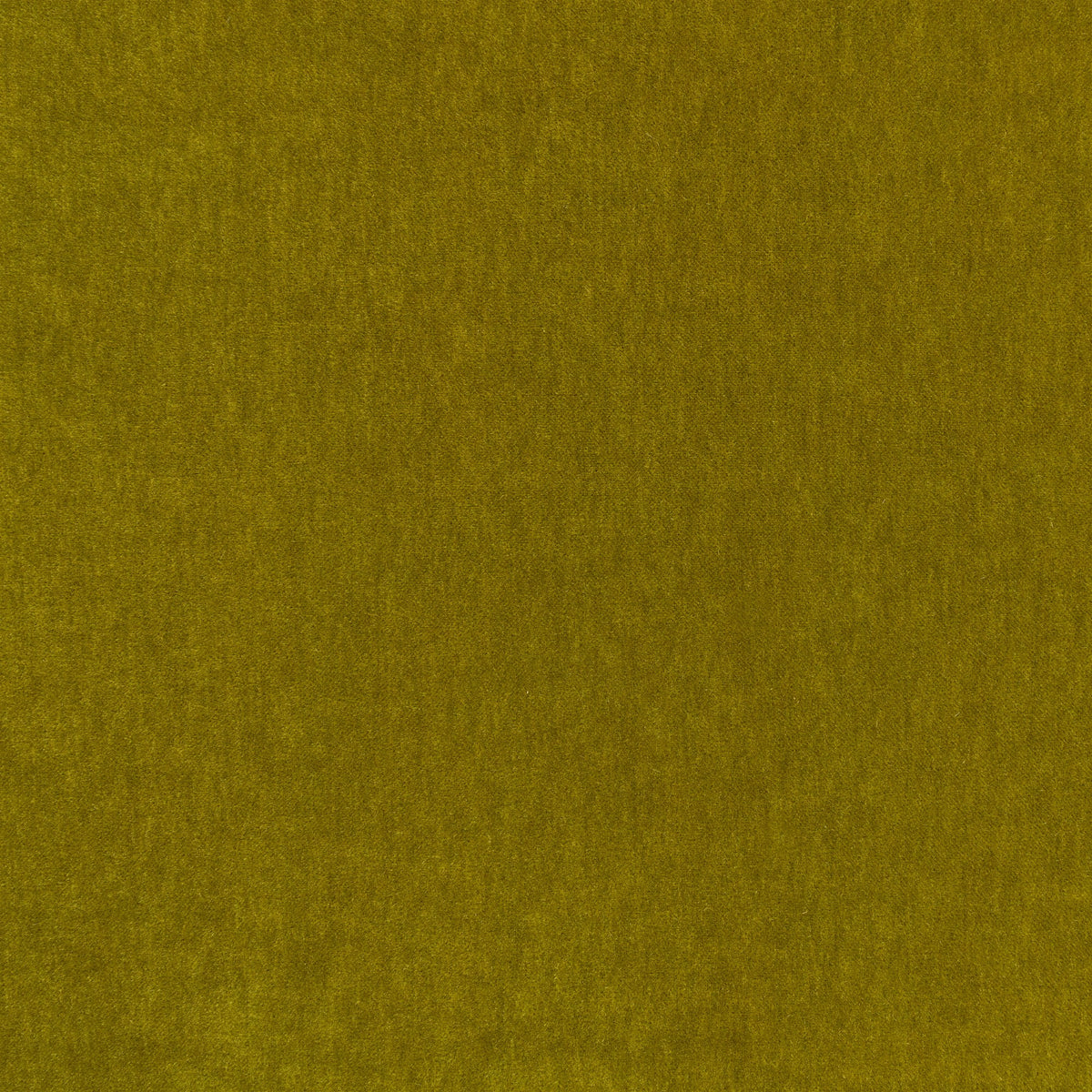 Fuzzy FR Crib 5 Fern Fabric by Kirkby Design — flat