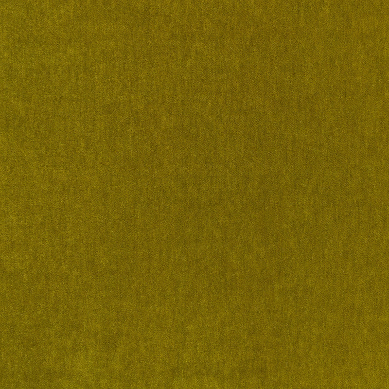 Fuzzy FR Crib 5 Fern Fabric by Kirkby Design — flat