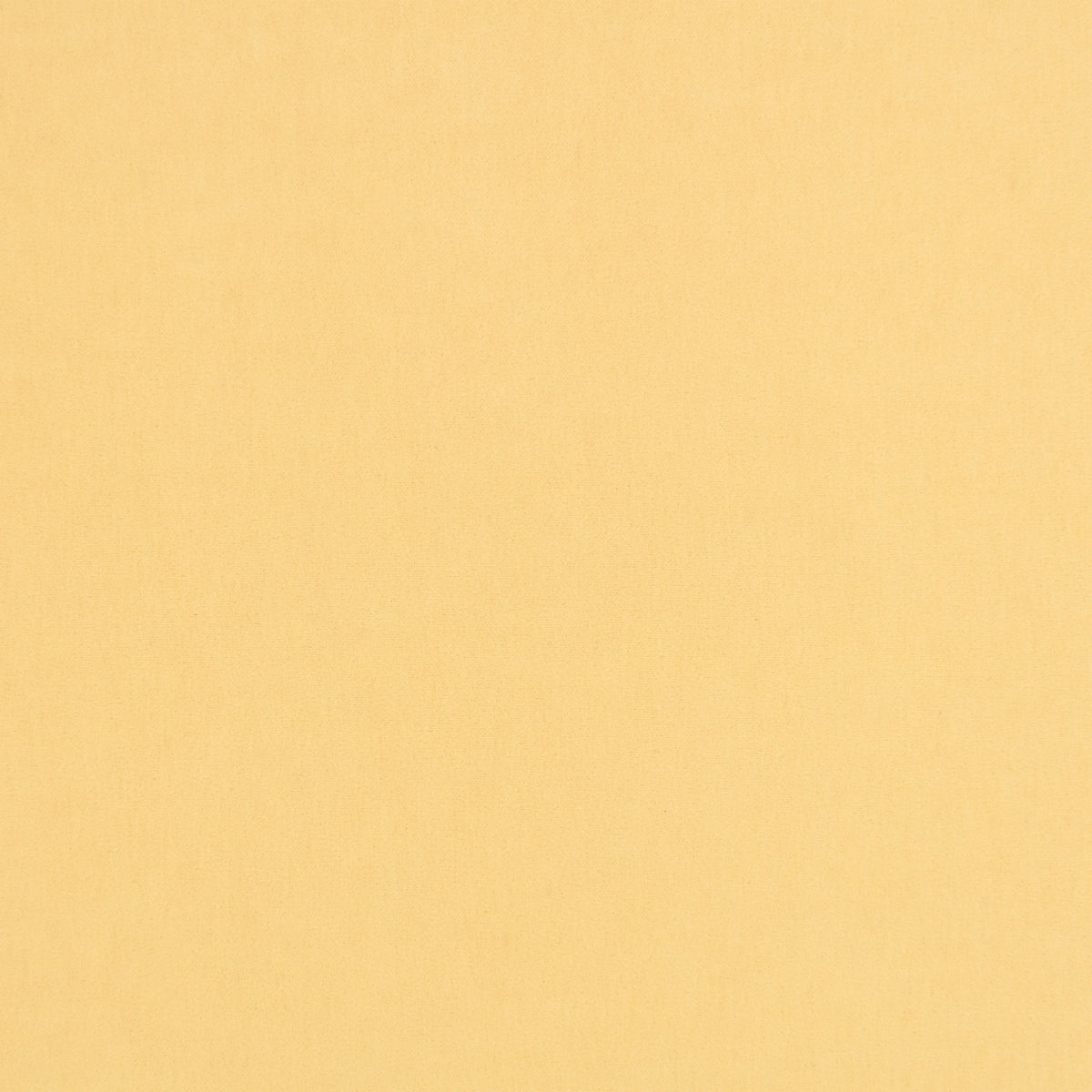 Fuzzy FR Crib 5 Sherbet Fabric by Kirkby Design — flat