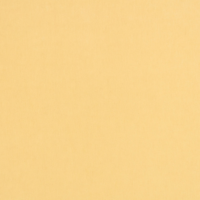 Fuzzy FR Crib 5 Sherbet Fabric by Kirkby Design — flat