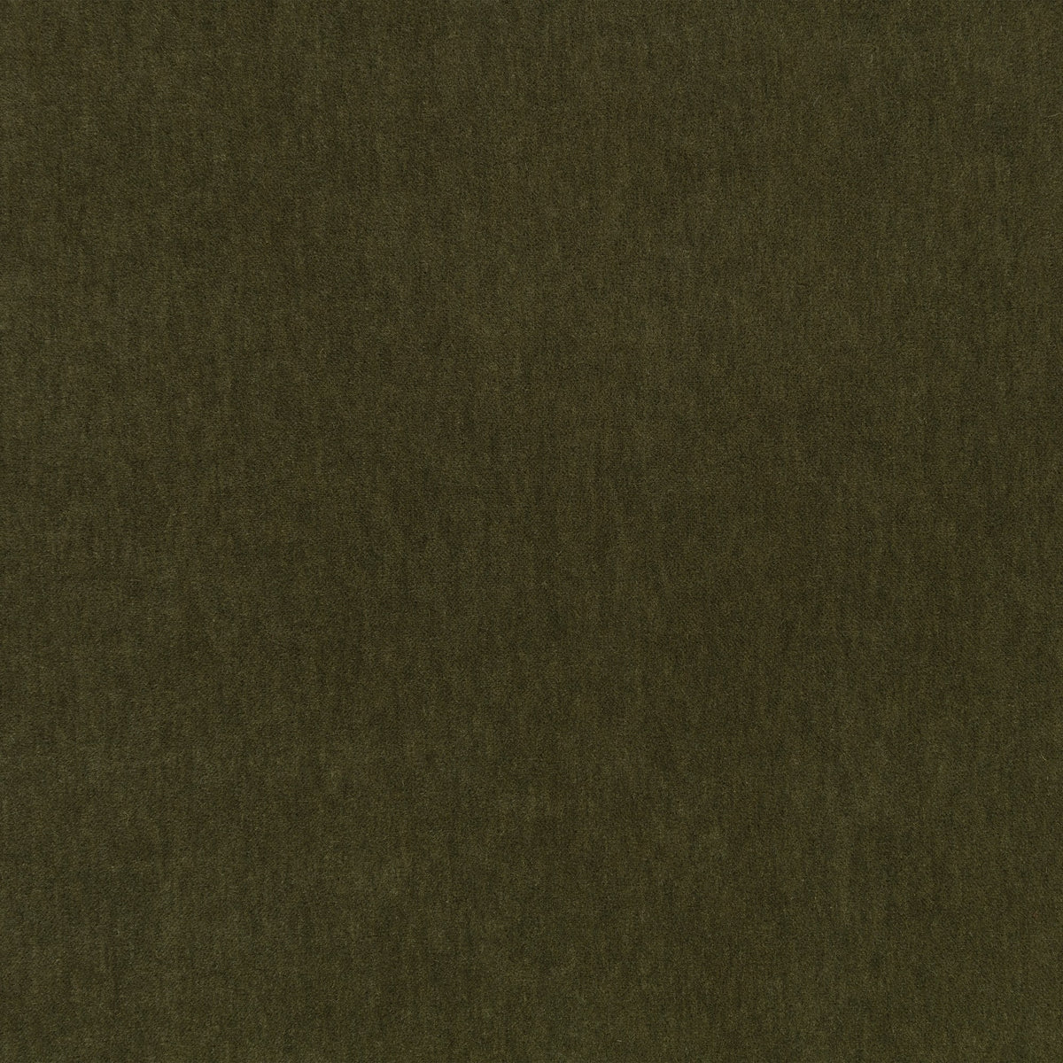 Fuzzy FR Crib 5 Nori Fabric by Kirkby Design — flat