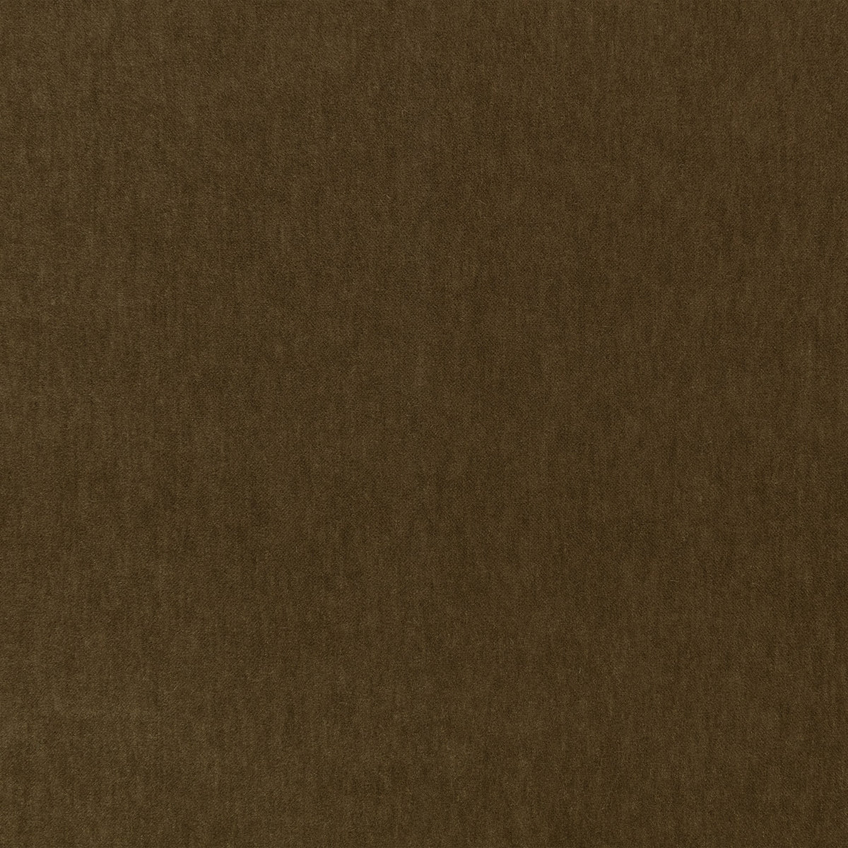 Fuzzy FR Crib 5 Dark Olive Fabric by Kirkby Design — flat