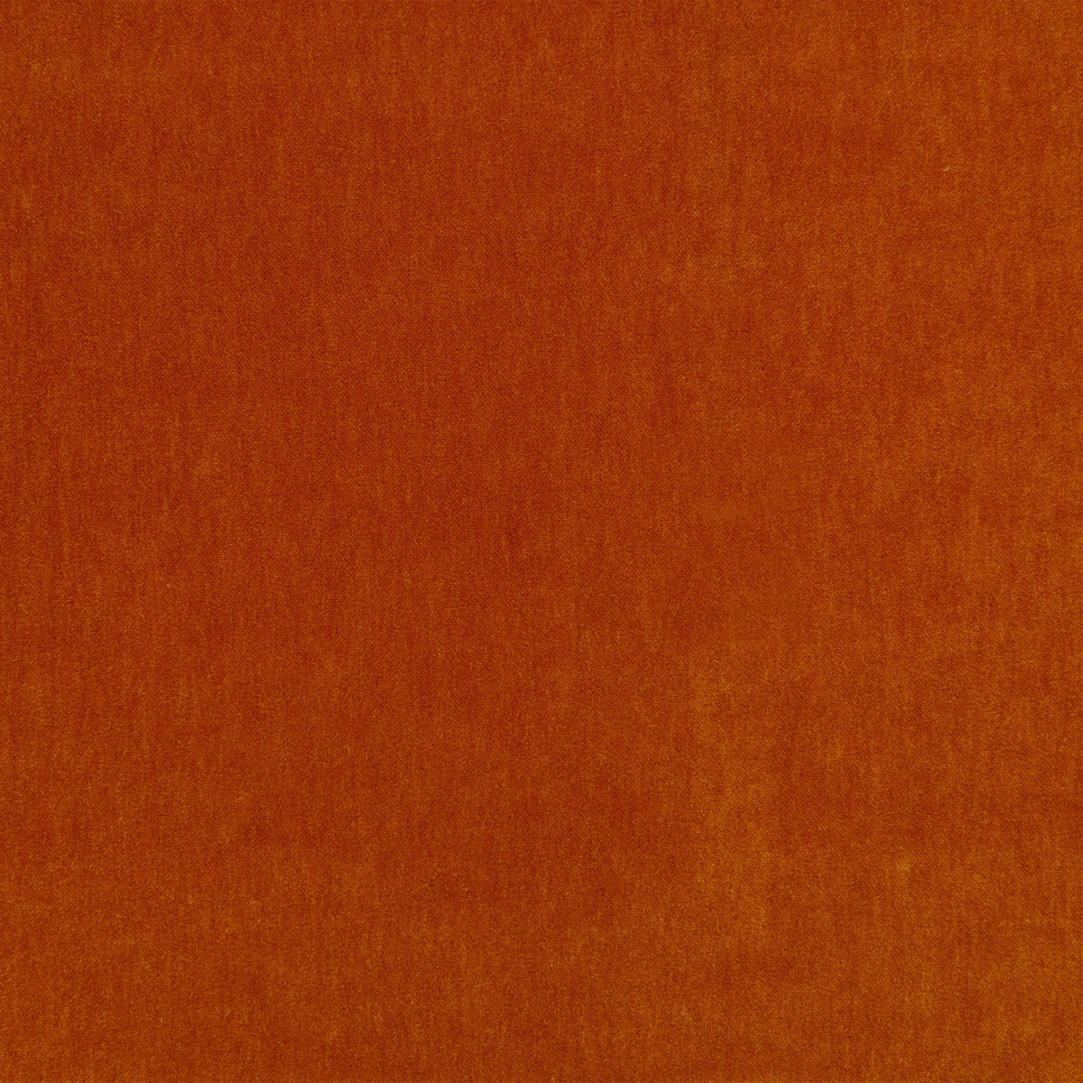 Fuzzy FR Crib 5 Cinnamon Fabric by Kirkby Design — flat