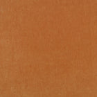 Fuzzy FR Crib 5 Sweet Potato Fabric by Kirkby Design — flat