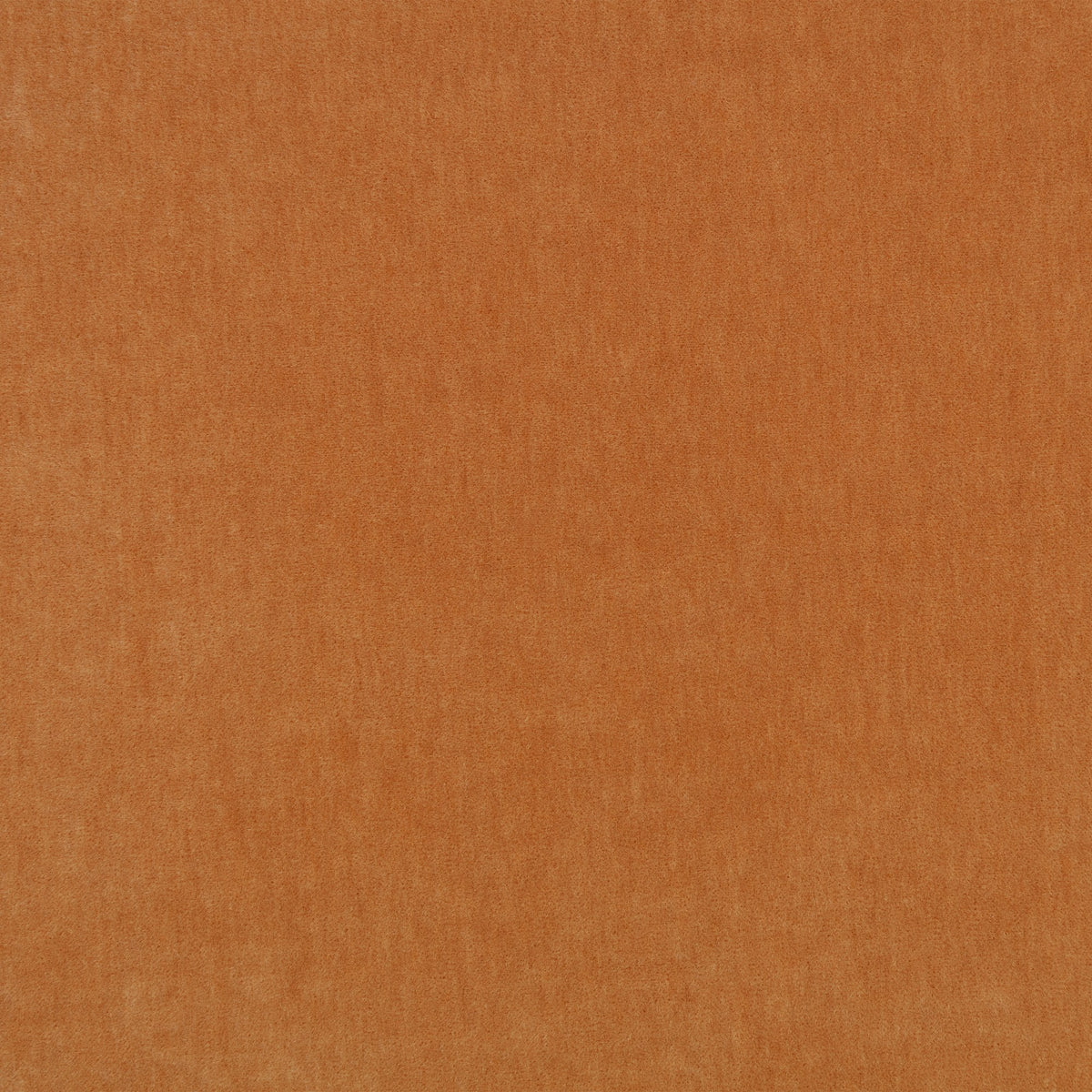 Fuzzy FR Crib 5 Sweet Potato Fabric by Kirkby Design — flat