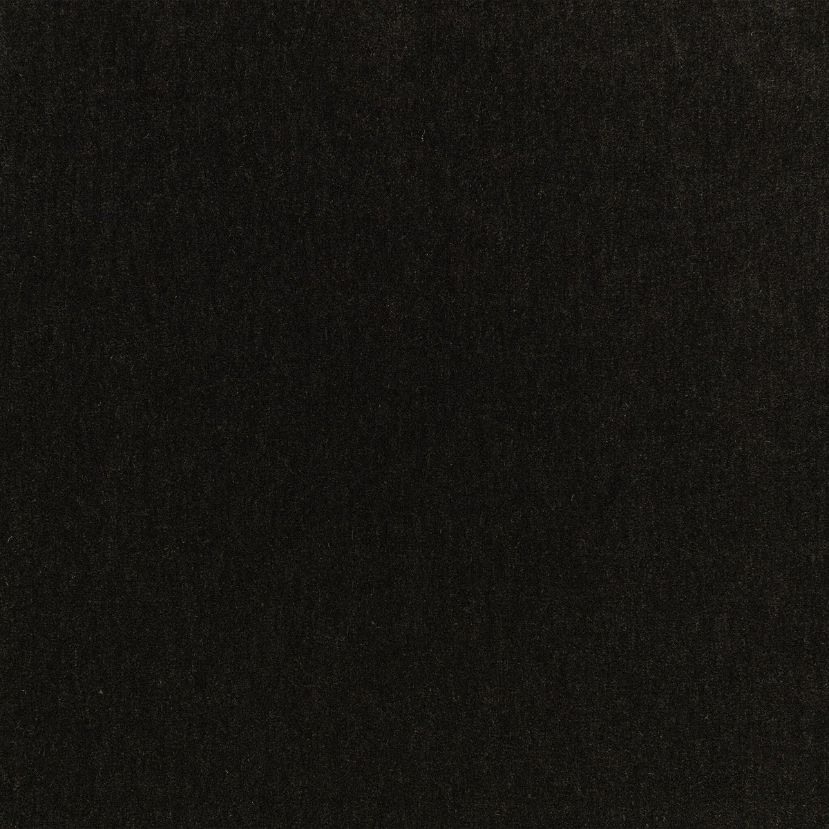 Fuzzy FR Crib 5 Jet Black Fabric by Kirkby Design — flat