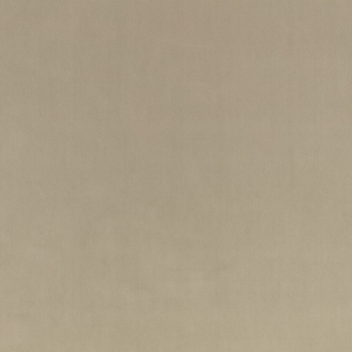 Smooth IV Lichen Fabric by Kirkby Design — flat