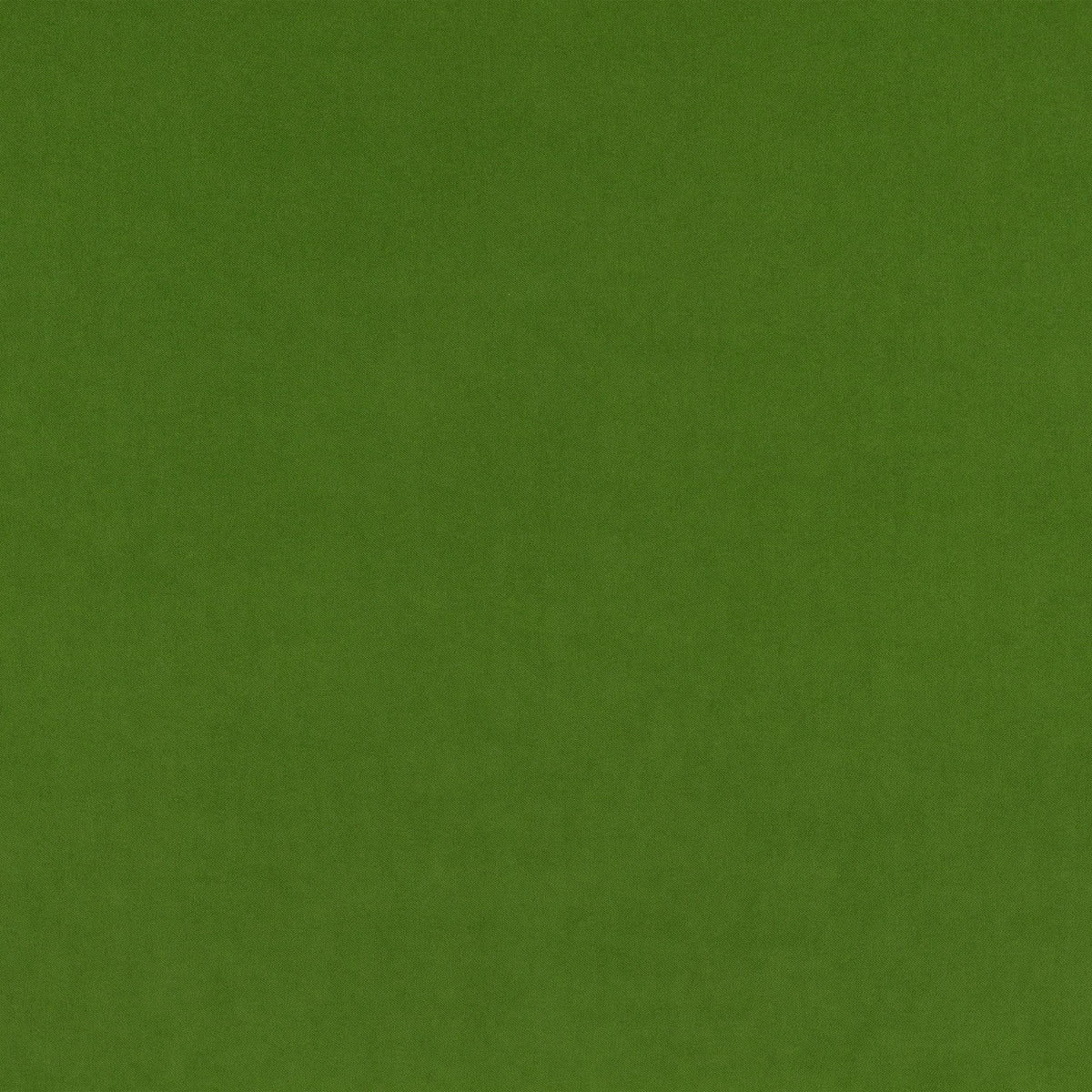 Smooth IV Asparagus Fabric by Kirkby Design — flat