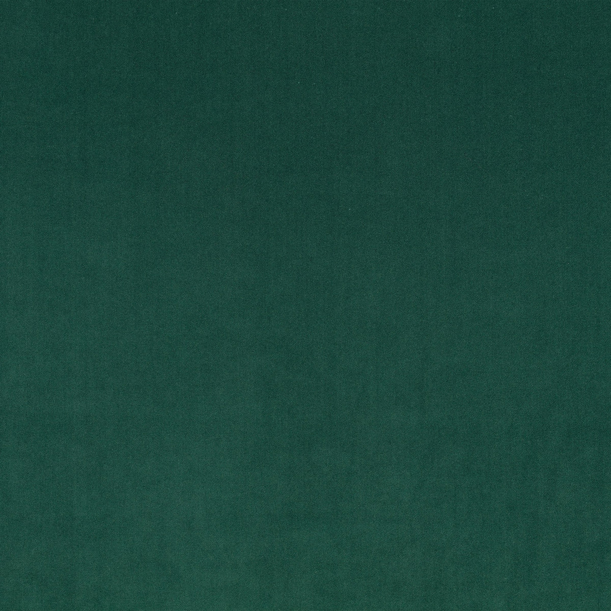 Smooth IV Evergreen Fabric by Kirkby Design — flat