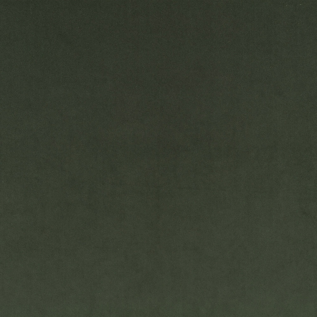 Smooth IV Pine Green Fabric by Kirkby Design — flat