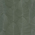 KBO106597070 Nuance Light Wallpaper by Caselio