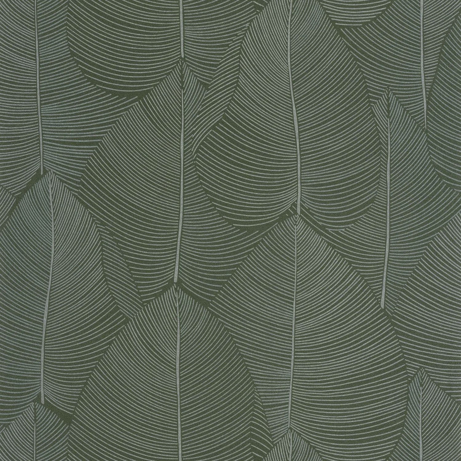 KBO106597070 Nuance Light Wallpaper by Caselio