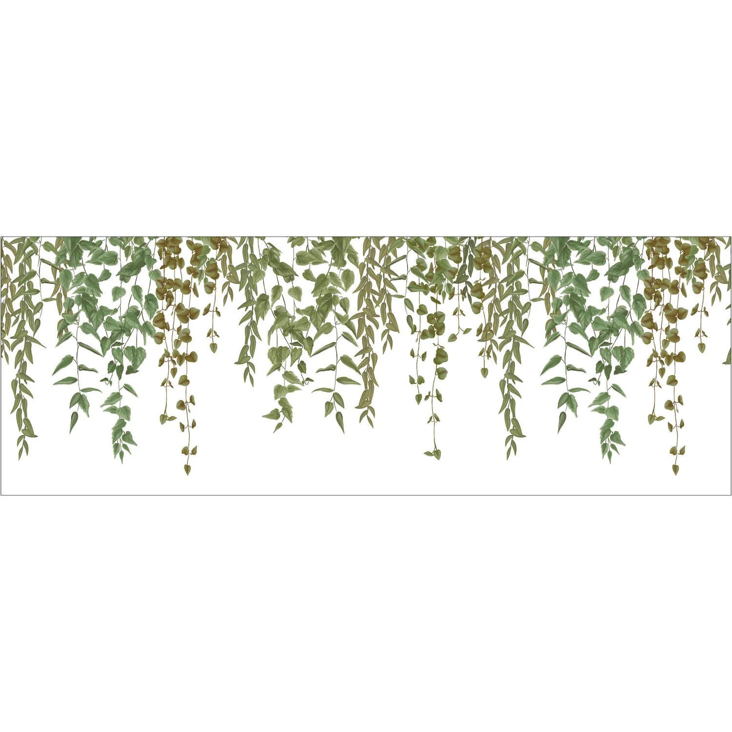 KBO106950723 Green Waterfalls Kitchen Box Border Wallpaper by Caselio