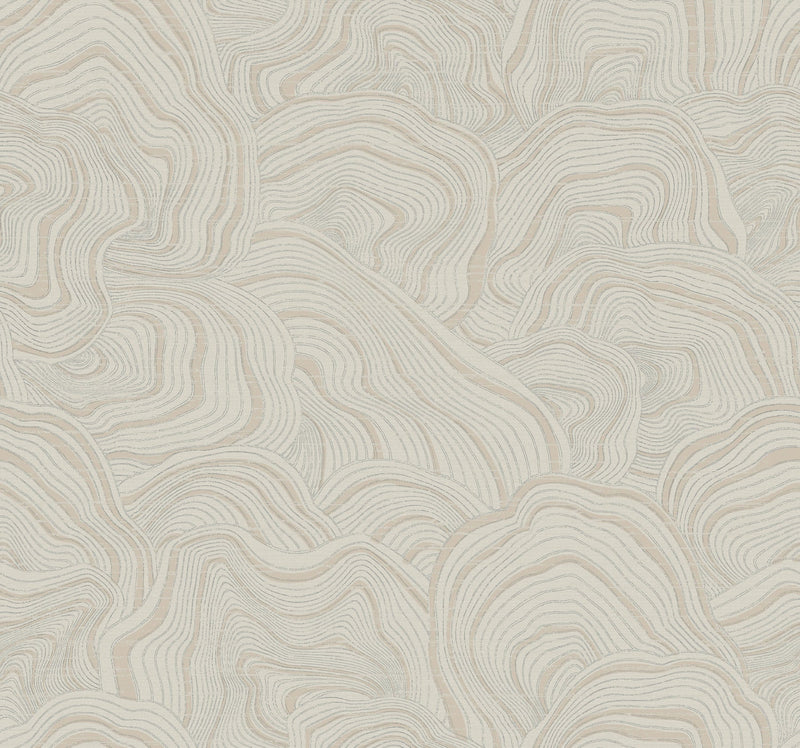 KT2164 Geodes Taupe Classics Wallpaper by York Wallcoverings