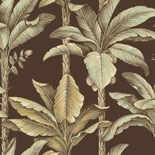 LS60106 Breeza Savannah Grass Chocolate Wallpaper by Today Interiors