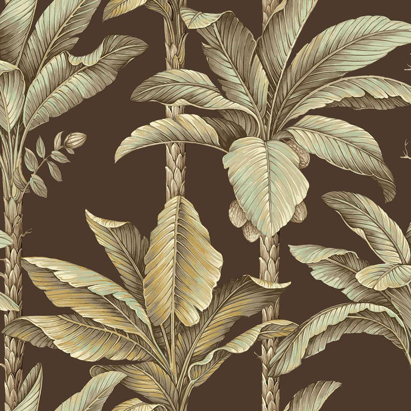 LS60106 Breeza Savannah Grass Chocolate Wallpaper by Today Interiors