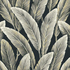 LS60210 Foliage Savannah Grass Midnight Wallpaper by Today Interiors