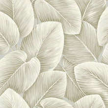 LS60305 Lush Leaf Savannah Grass Taupe Wallpaper by Today Interiors