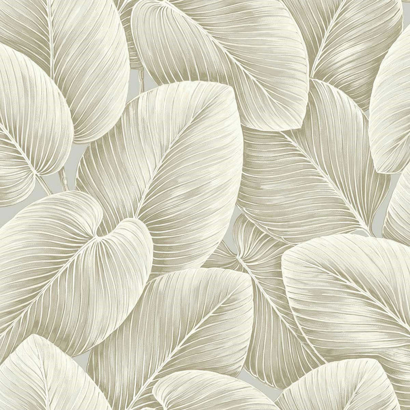 LS60305 Lush Leaf Savannah Grass Taupe Wallpaper by Today Interiors