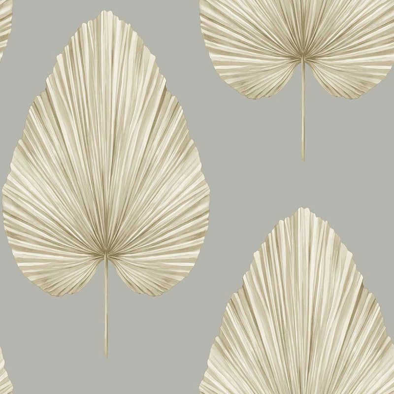 LS60808 Grande Leaf Savannah Grass Fog Wallpaper by Today Interiors