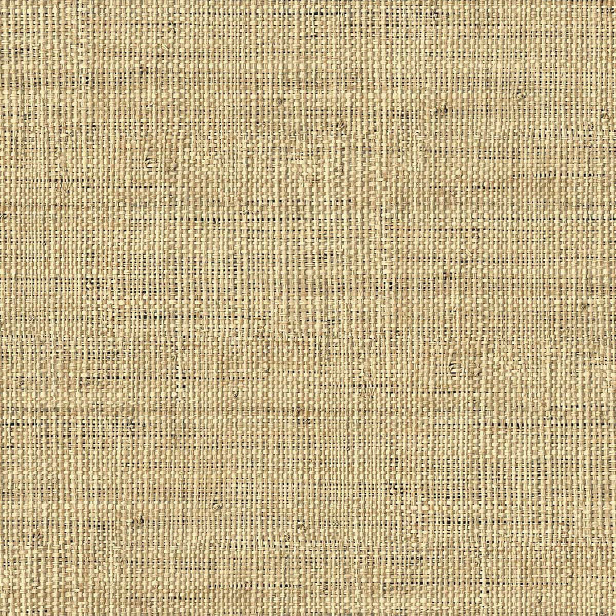 LS61107 Kaya Savannah Grass Straw Wallpaper by Today Interiors