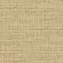 LS61107 Kaya Savannah Grass Straw Wallpaper by Today Interiors