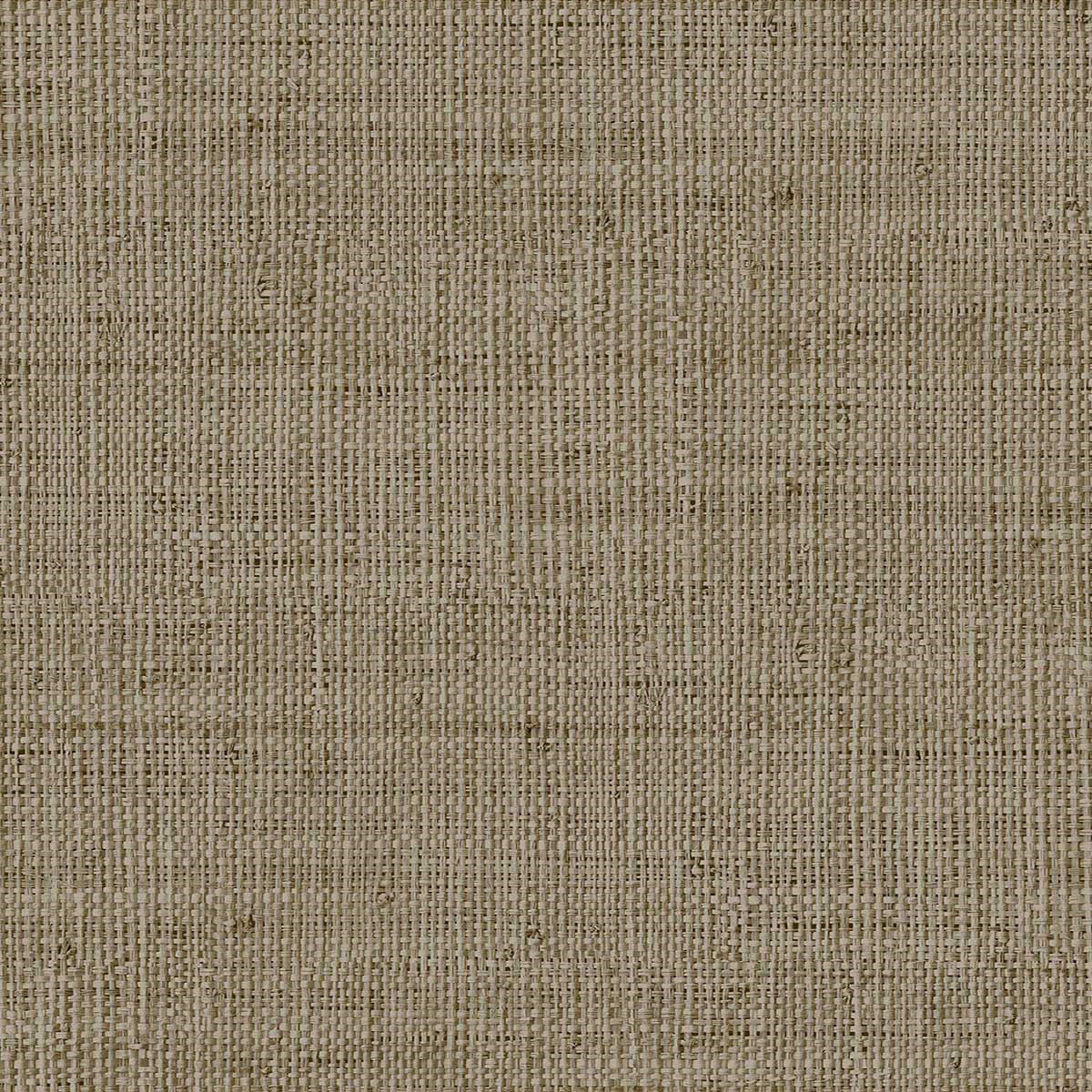 LS61117 Kaya Savannah Grass Antique Gray Wallpaper by Today Interiors