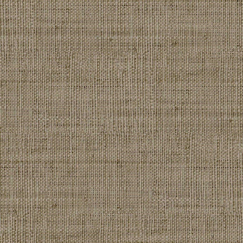 LS61117 Kaya Savannah Grass Antique Gray Wallpaper by Today Interiors