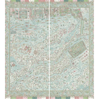 The Map Maxi Pistachio Rose The Srinagar Map Mural by Lewis & Wood