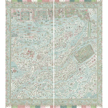 The Map Maxi Pistachio Rose The Srinagar Map Mural by Lewis & Wood