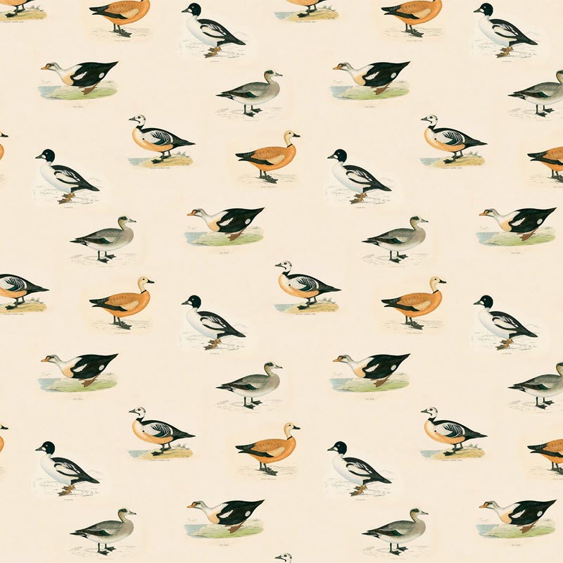 LW046/001 Golden Eye Autumn 2020 Wallpaper by Linwood
