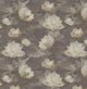 Lotus Mocha Santorini Wallpaper By Sketch Twenty 3