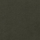 Plush Gunmetal Plush II Fabric by Mark Alexander