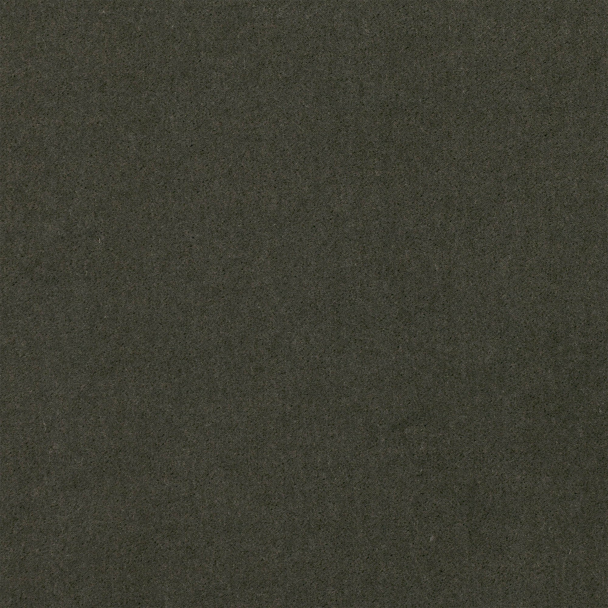 Plush Gunmetal Plush II Fabric by Mark Alexander