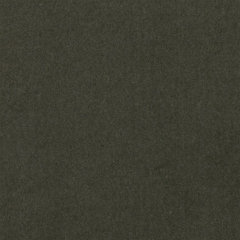 Plush Gunmetal Plush II Fabric by Mark Alexander