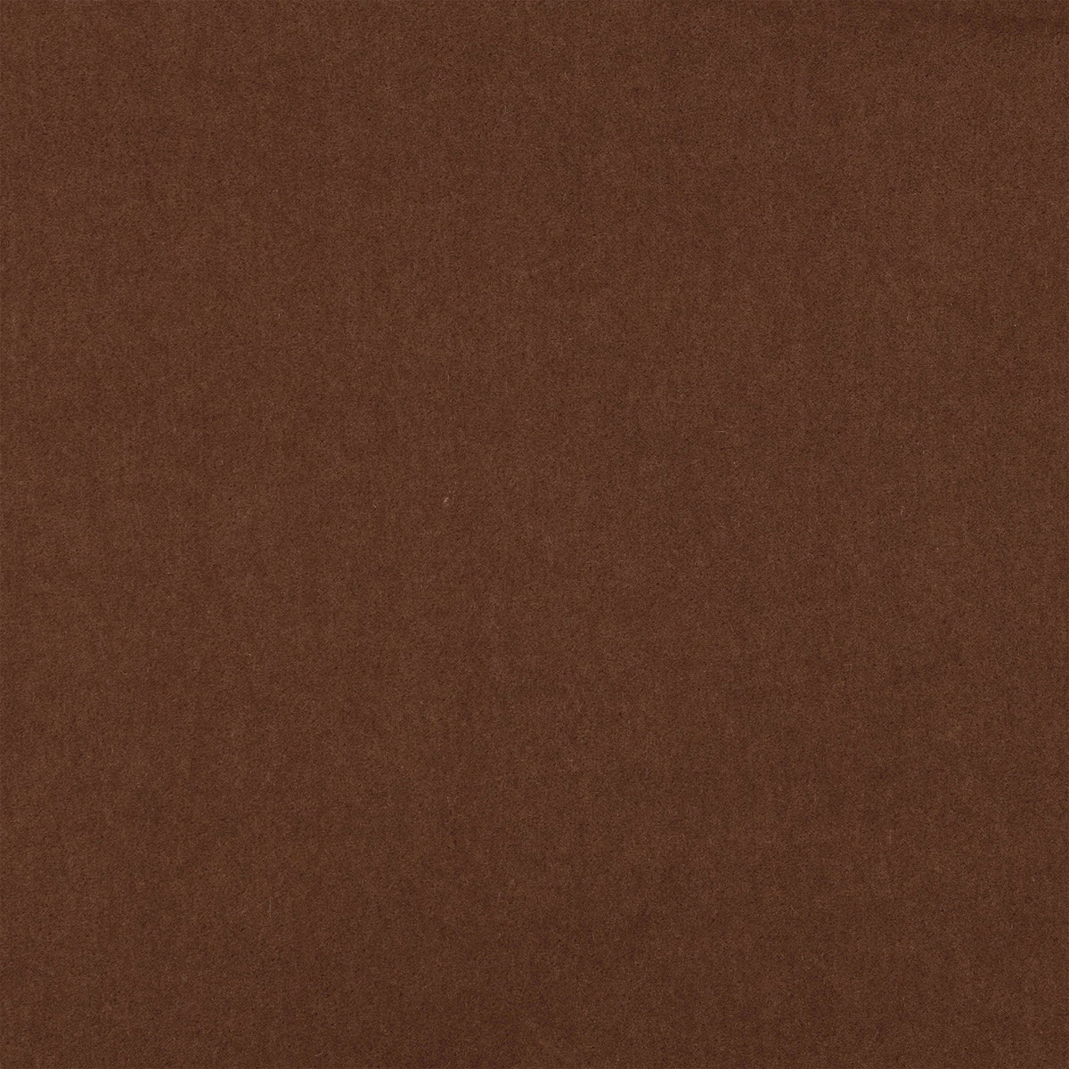 Plush Carnelian Plush II Fabric by Mark Alexander