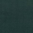 Plush Foresta Plush II Fabric by Mark Alexander