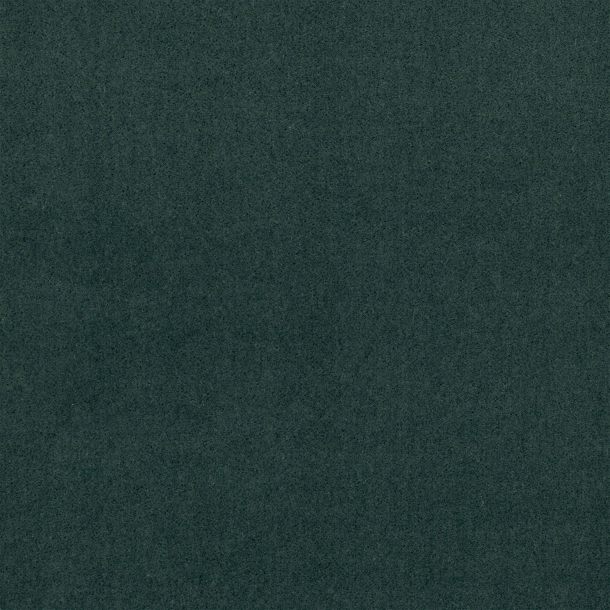 Plush Foresta Plush II Fabric by Mark Alexander