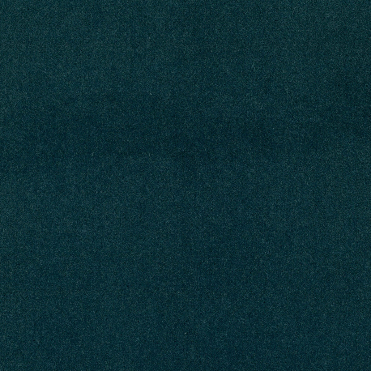Plush Ottanio Plush II Fabric by Mark Alexander