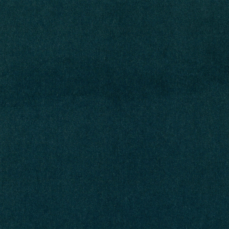 Plush Ottanio Plush II Fabric by Mark Alexander