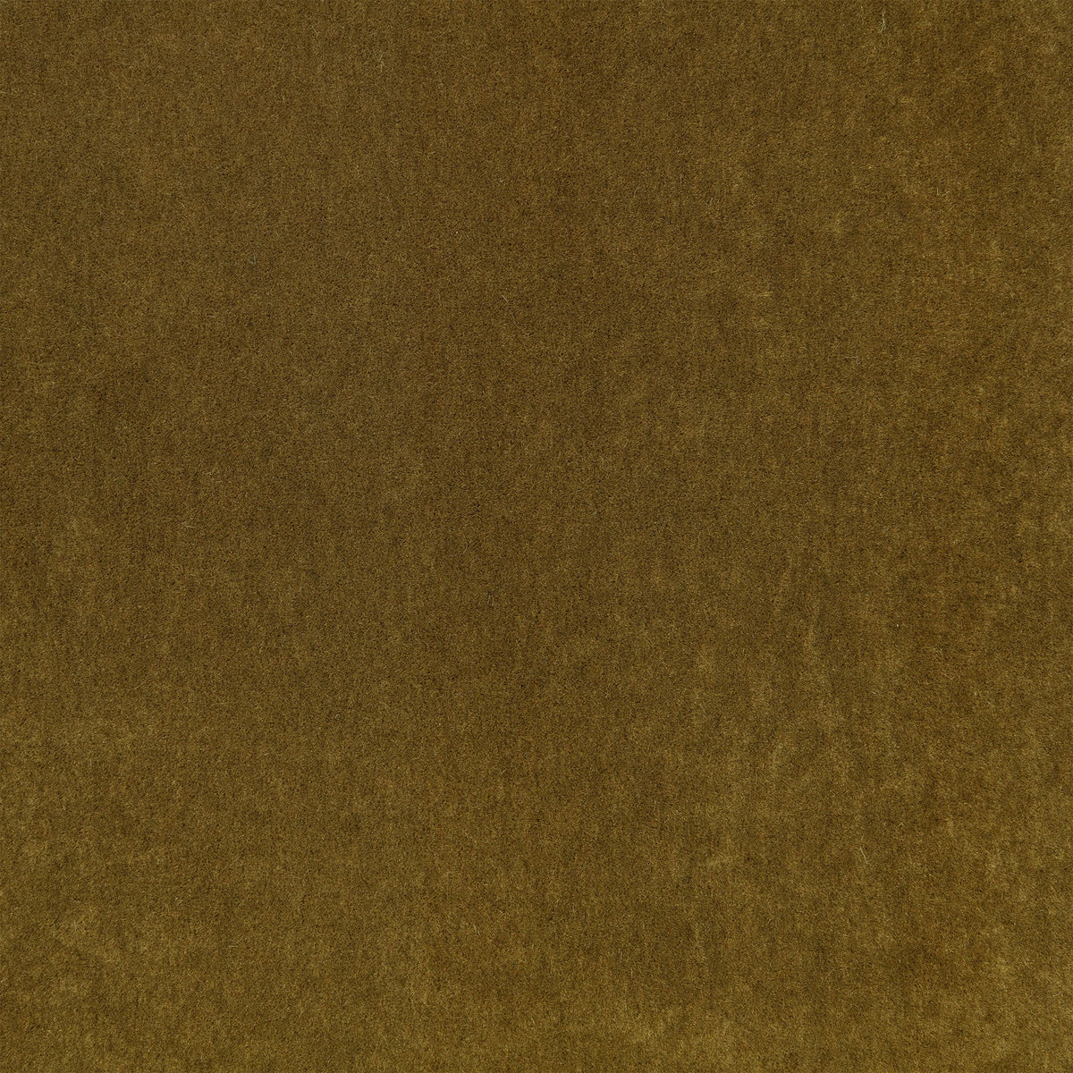 Plush Cumin Plush II Fabric by Mark Alexander