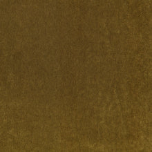 Plush Cumin Plush II Fabric by Mark Alexander