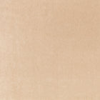 Plush Camel Plush II Fabric by Mark Alexander