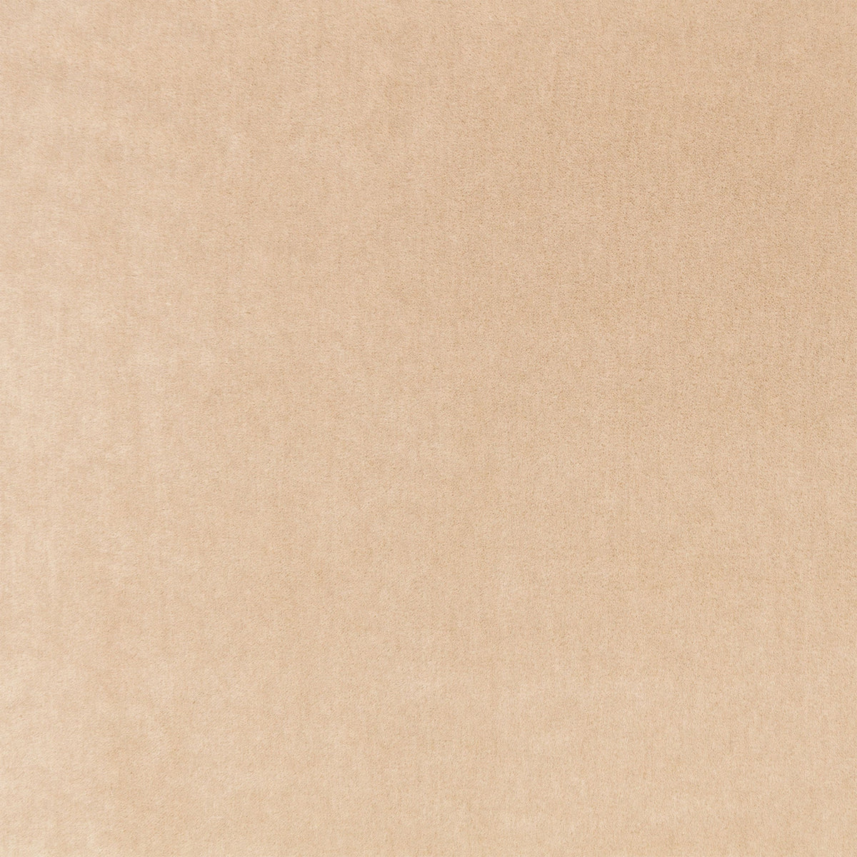 Plush Camel Plush II Fabric by Mark Alexander