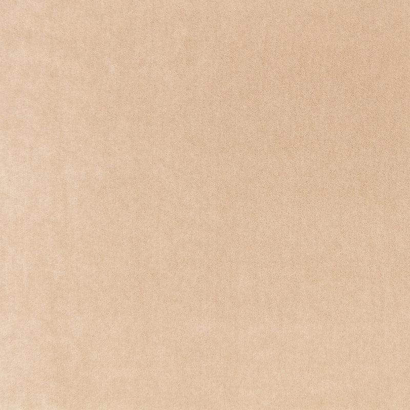 Plush Camel Plush II Fabric by Mark Alexander