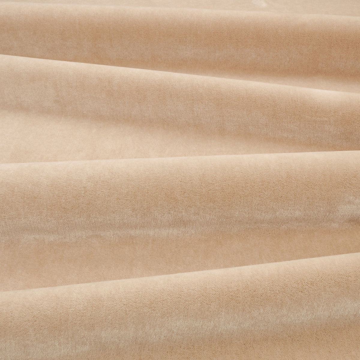 Plush Camel Plush II Fabric by Mark Alexander