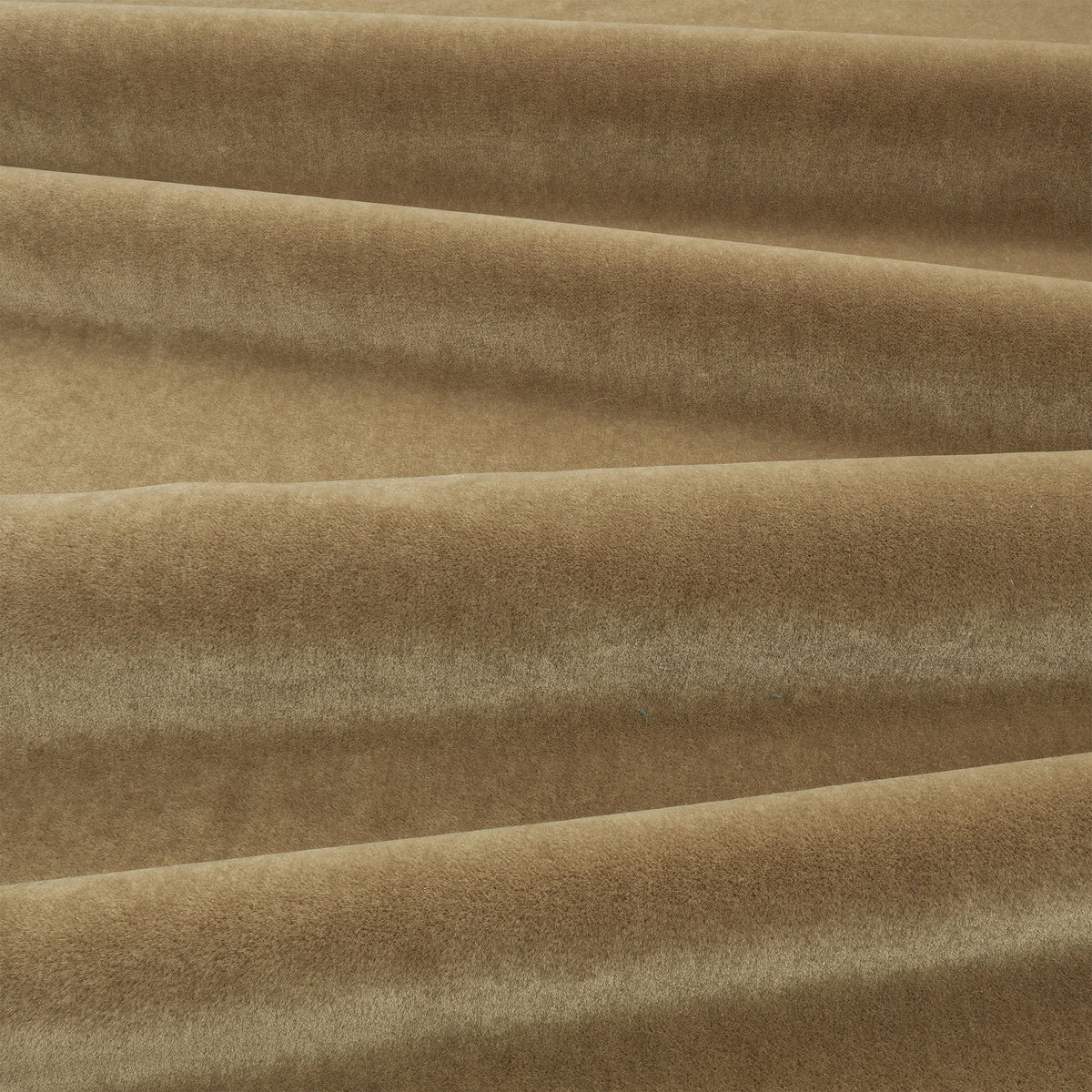 Plush Hazel Plush II Fabric by Mark Alexander
